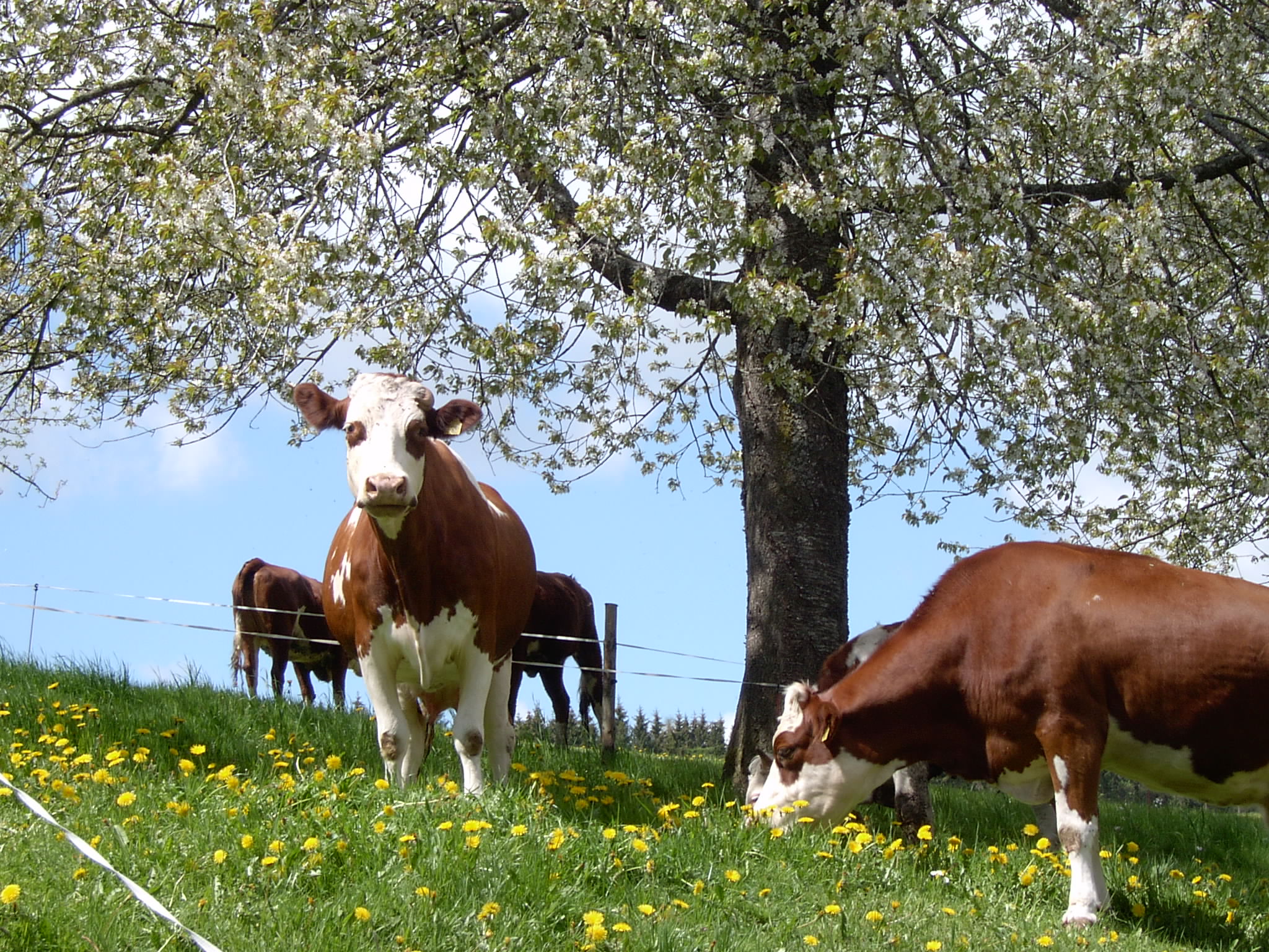 Aktuelles Frühling 2025